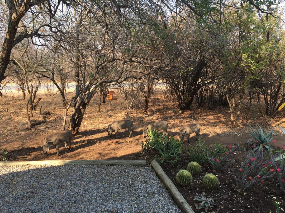 Giraffe Lodge Hoedspruit Exterior photo
