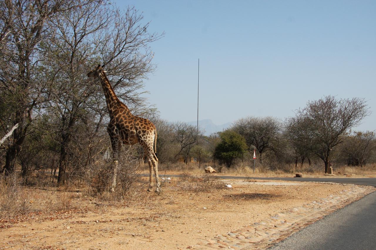 Giraffe Lodge Hoedspruit Exterior photo
