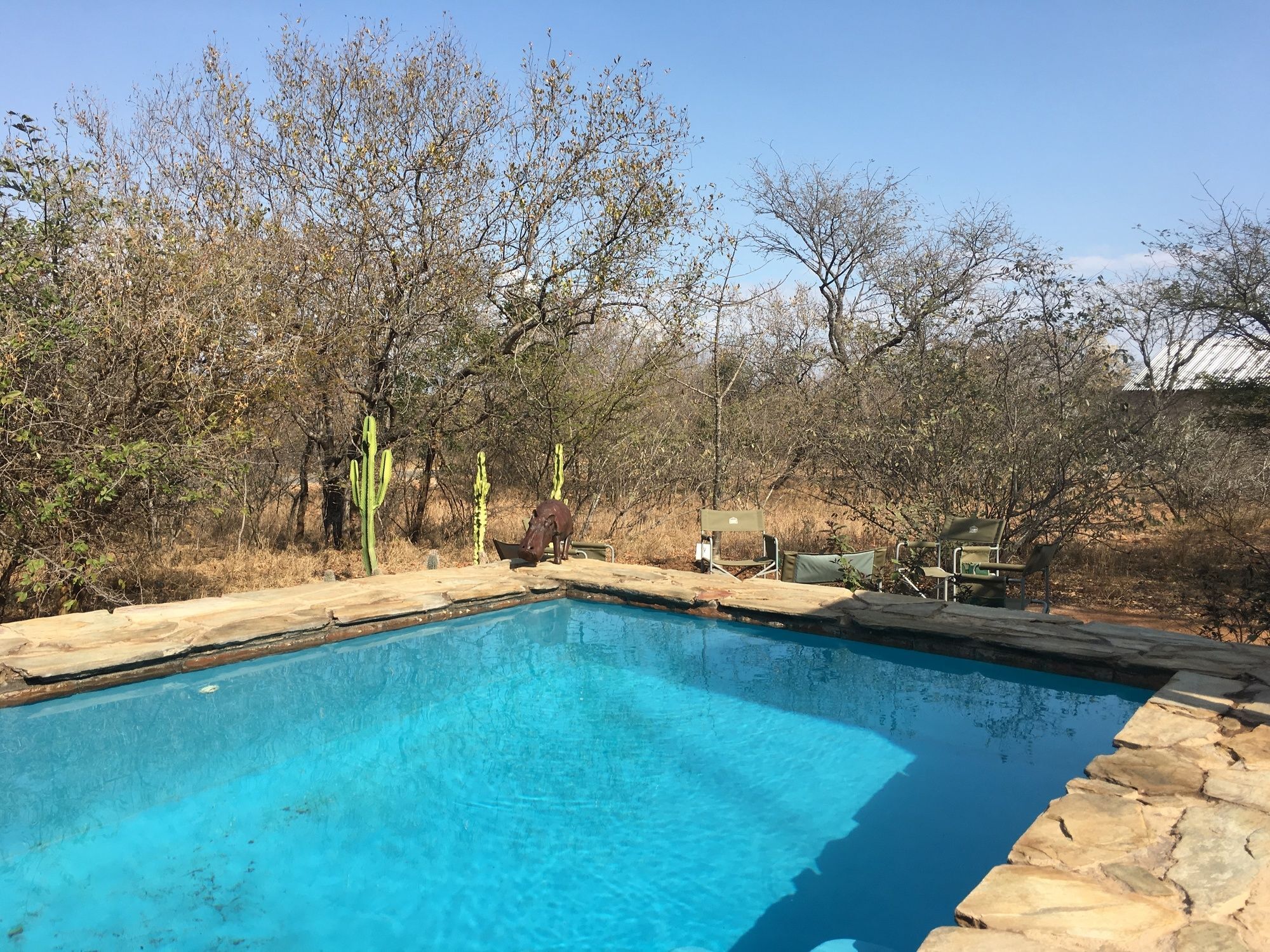 Giraffe Lodge Hoedspruit Exterior photo